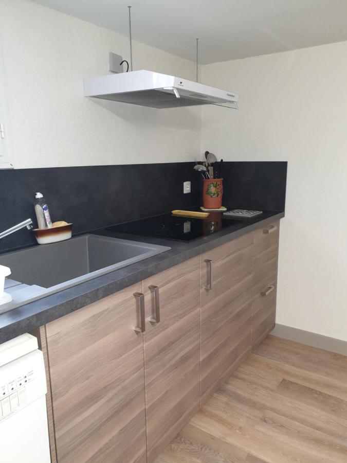 T1 Dans Maison Au Calme Réalmont Eksteriør bilde